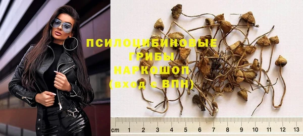 мдма Ладушкин
