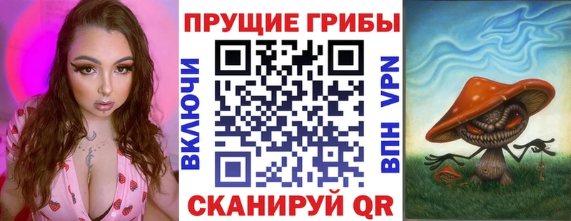 Псилоцибиновые грибы мицелий  хочу   Кондрово 